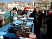 Alter Hafen (Vieux Port): Fischmarkt
